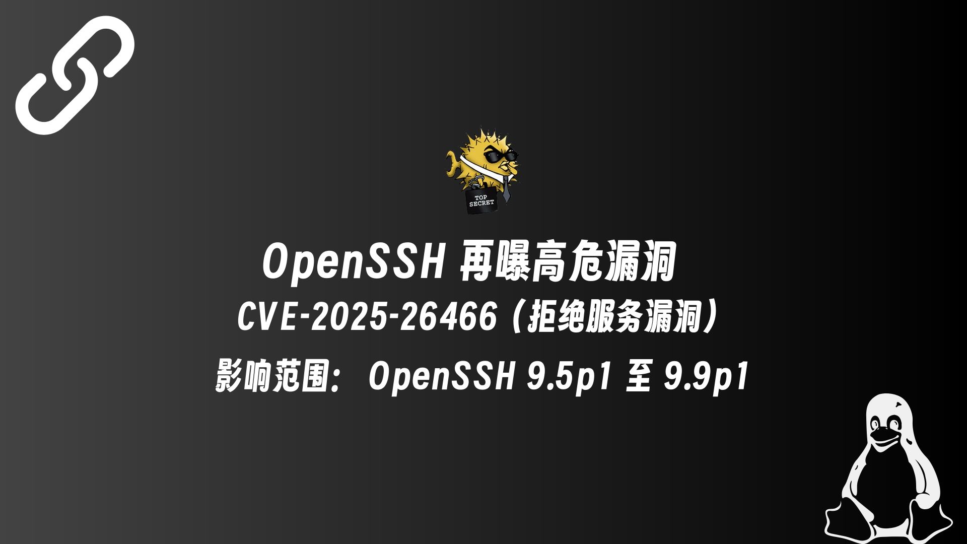 OpenSSH 再曝高危漏洞：CVE-2025-26466（拒绝服务漏洞）